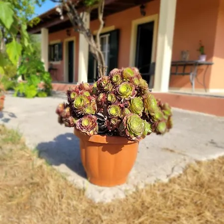 Christine Nature Lefkimmi (Corfu)