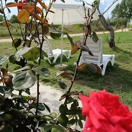 Christine Nature Apartment Lefkimmi (Corfu)